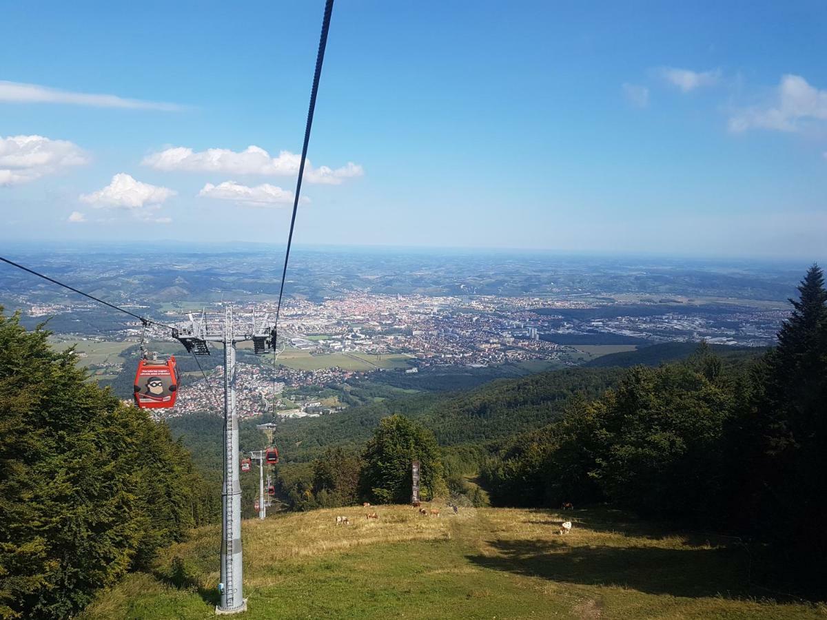 Bolfenk Apartment Hočko Pohorje Eksteriør billede