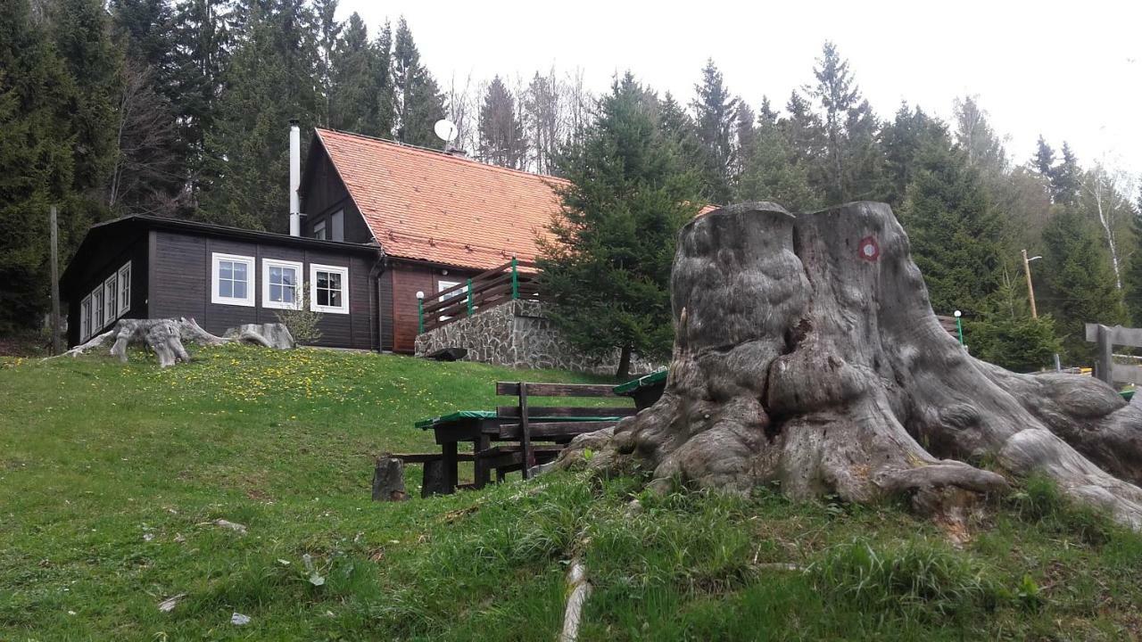 Bolfenk Apartment Hočko Pohorje Eksteriør billede
